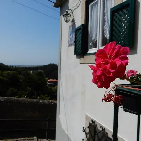 Dreamly * Sintra
